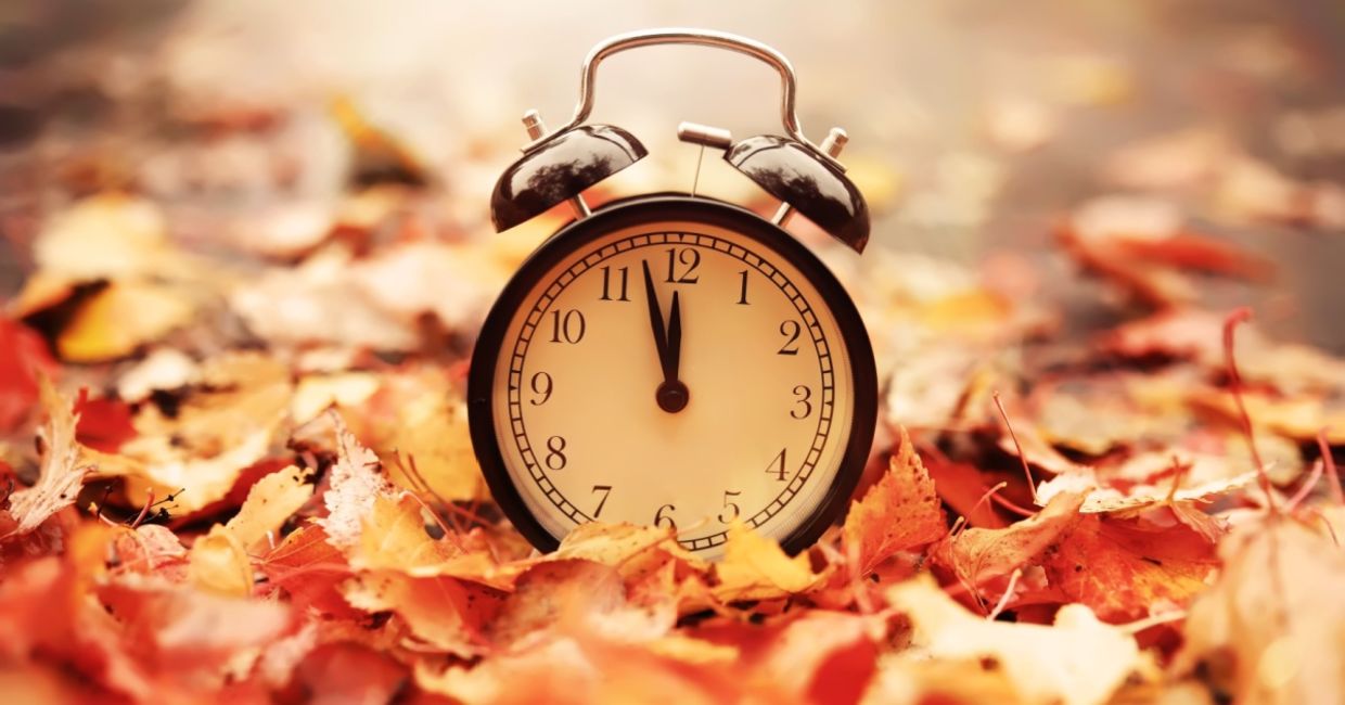 Turn your clocks back in the fall.