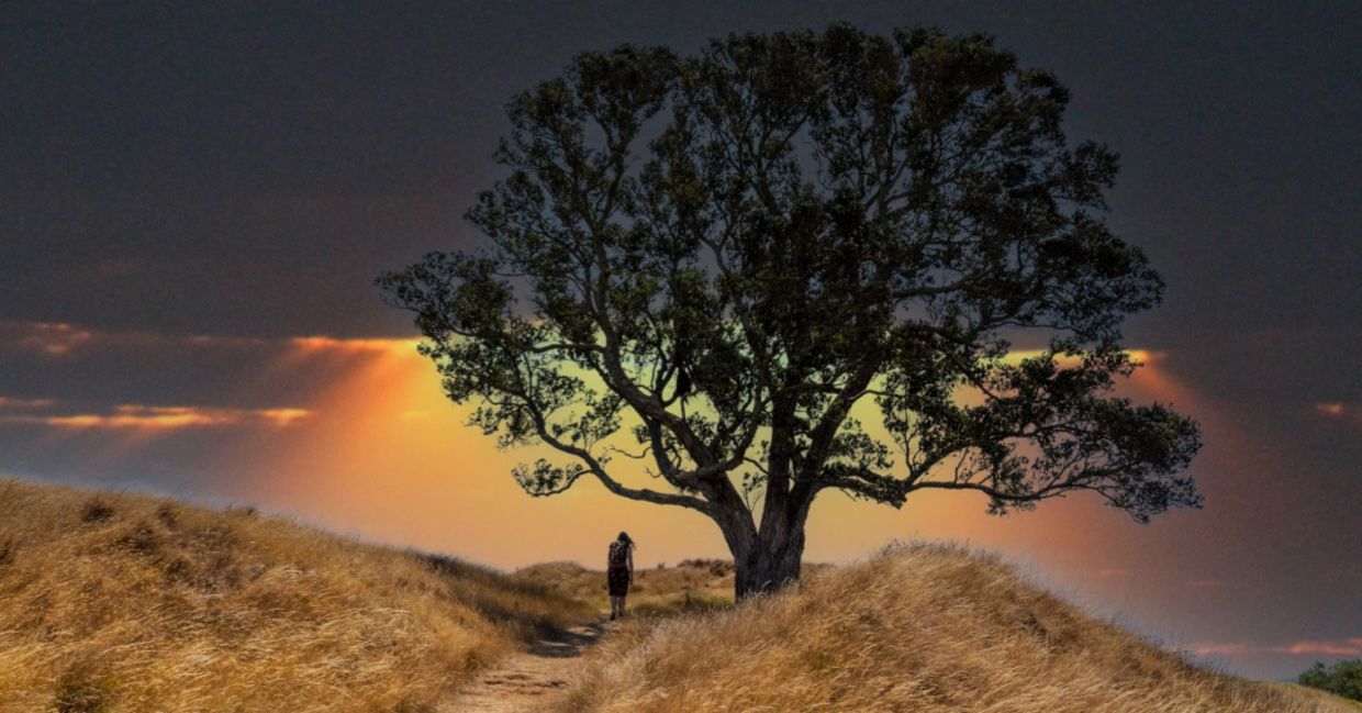 A tree is a powerful spiritual symbol.