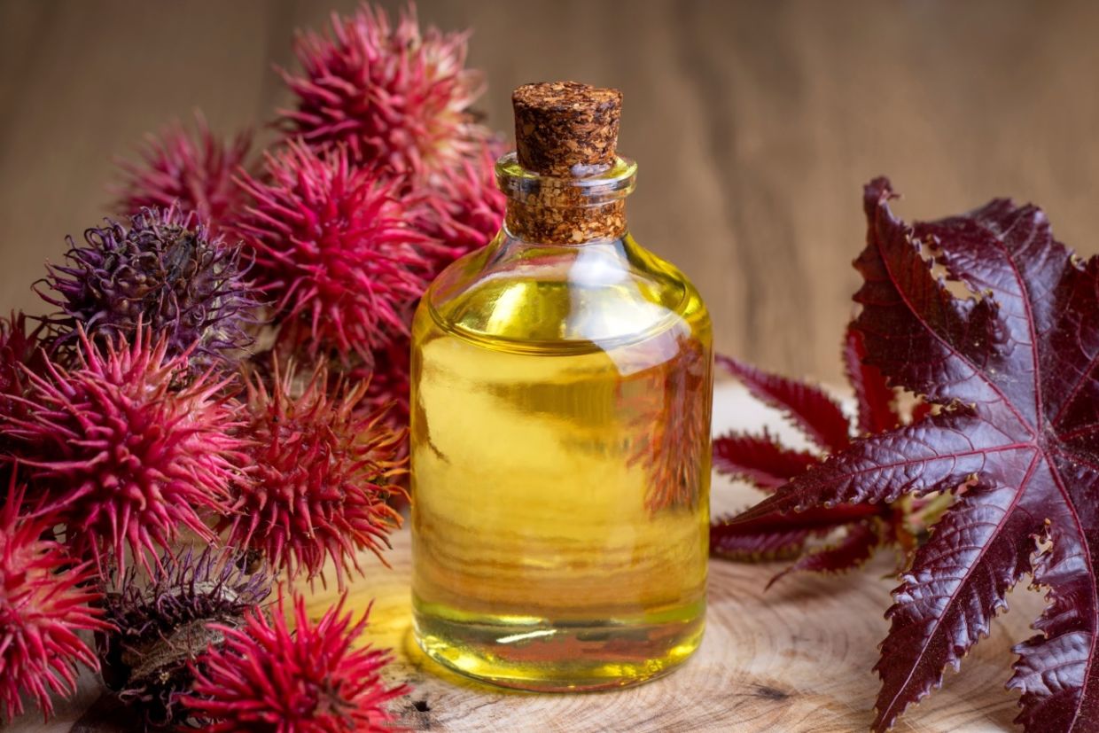 Castor oil bottle with castor fruits, seeds, and leaf.